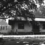 The Bench Under the Gulmohar Tree