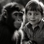 A Best Funny Short Story in English- Monty the Monkey