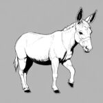 The Smart Donkey